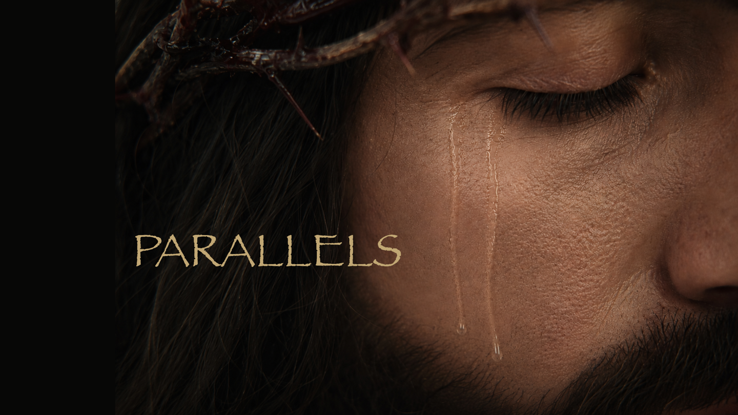 Parallels Web neu